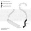 FORD 1672189 Charger Intake Hose